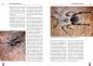 Preview: Die Blaue Thai-Vogelspinne